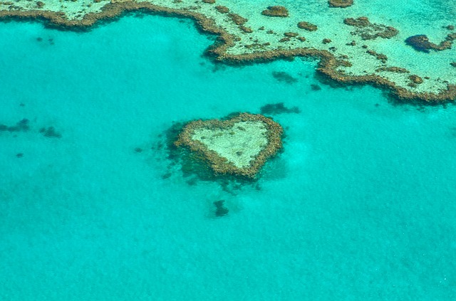 Het Great Barrier Reef