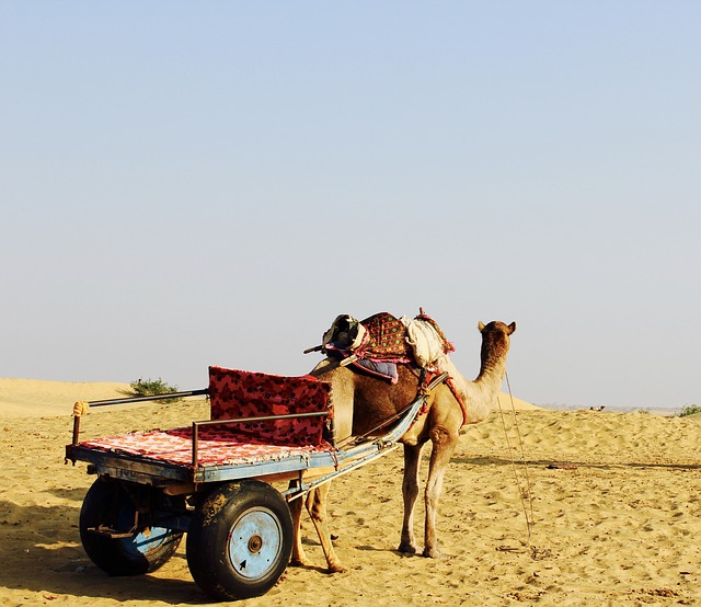 Woestijn in India