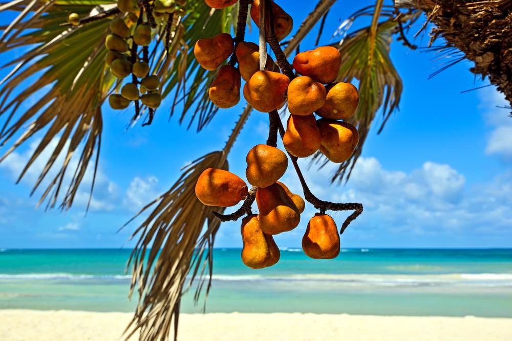 Strand in Kenia