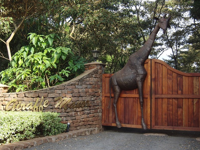 Giraffe Center, Australië